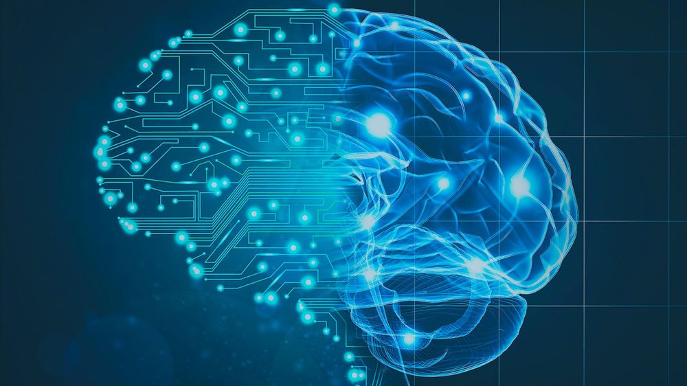 Become a Machine Learning Expert