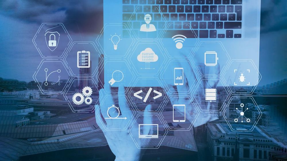 10 Most Useful Web Application Programming Language Courses for 2025