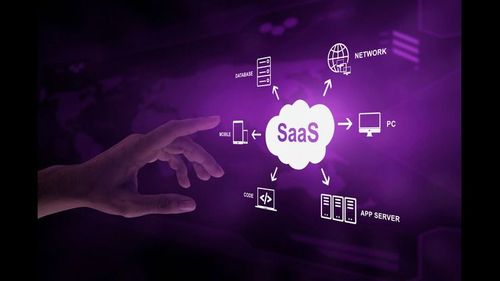Profitable LMS SaaS Business
