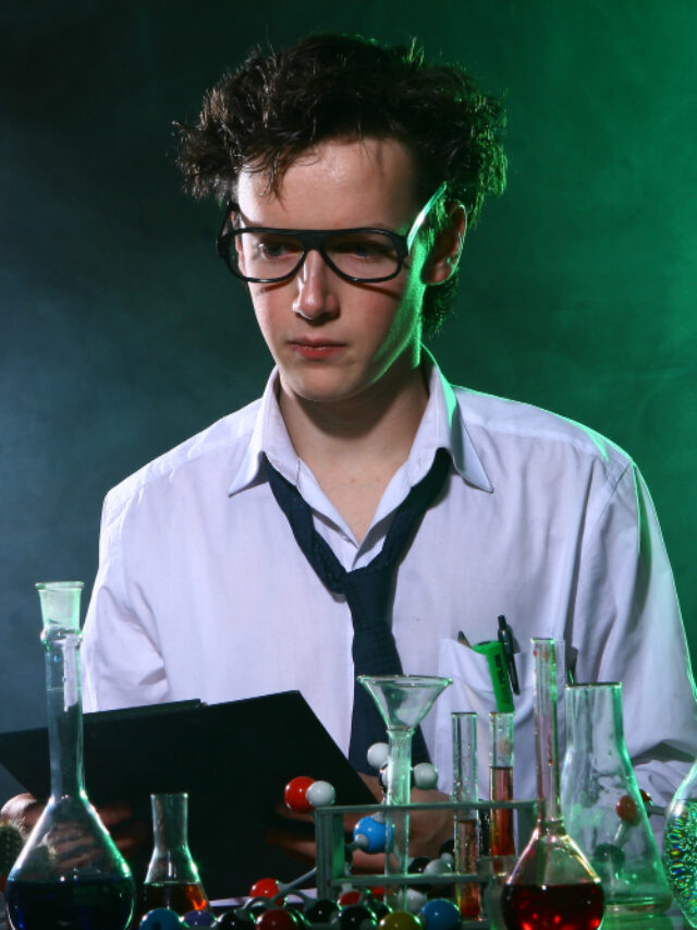 STEM vs. Humanities: Which Will Dominate the Job Market in 2024?