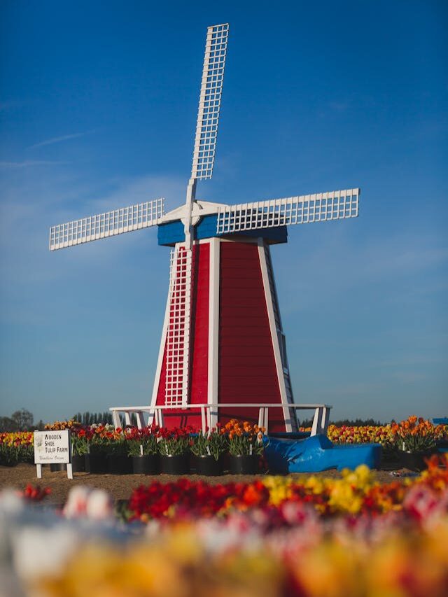 top-5-renewable-energy-business-ideas-for-2024-careervira-web-stories